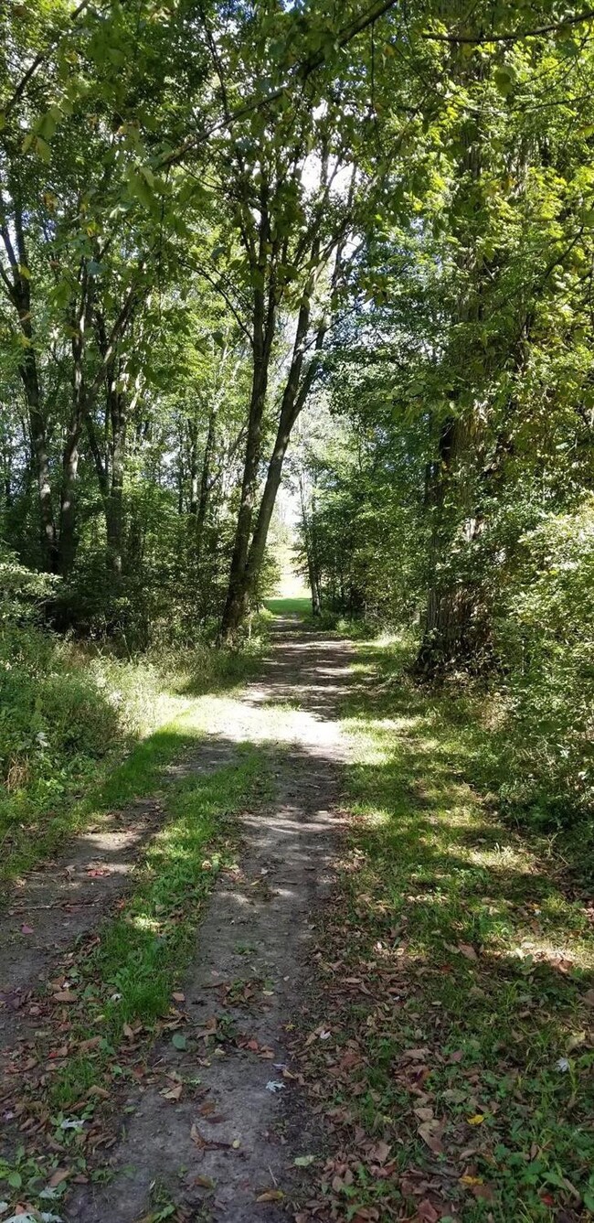 Groomed Trail