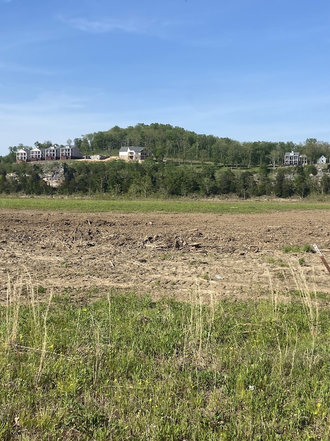 0 Dancing Eagle Ln unit RTC3047504, Clifton, TN 38425 - photo 3