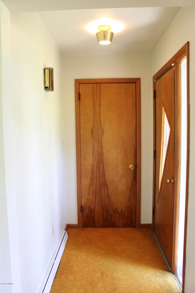 19027 Three Oaks Rd, Three Oaks, MI 49128 - photo 7