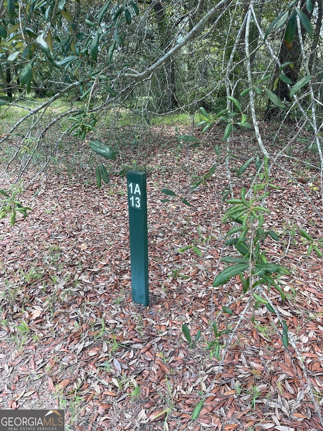 LOT 1A-13 Coopers Point Dr NE, Townsend, GA 31331 - photo 5