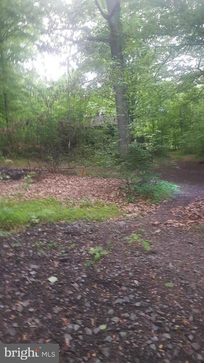 1003 Mt Zion Marlboro Rd, Lothian, MD 20711 - photo 3