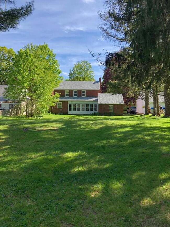 Back yard