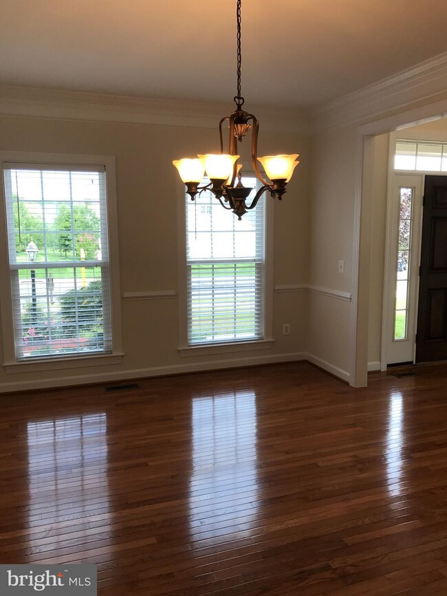 25338 Understanding Ct, Aldie, VA 20105 - photo 5