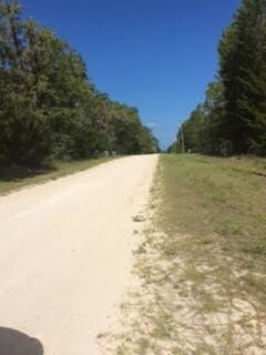 18510 E Royal Oak Dr unit 1, Perry, FL 32348 - photo 2