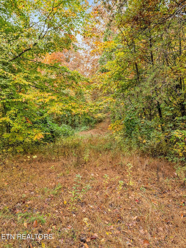 0 Mountie Ln, Knoxville, TN 37924 - photo 3