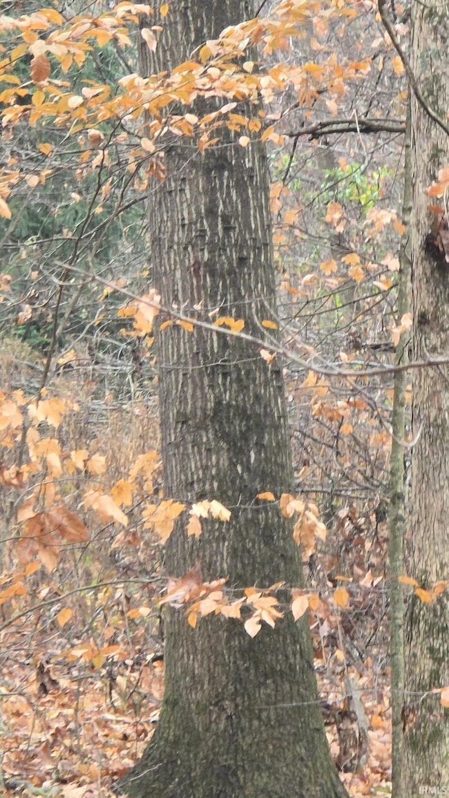 0 Shire Dr, Dubois, IN 47527 - photo 5