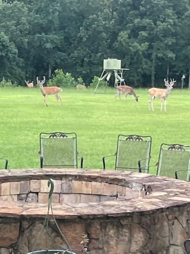 15250 County Road 3111, Gladewater, TX 75647 - photo 3