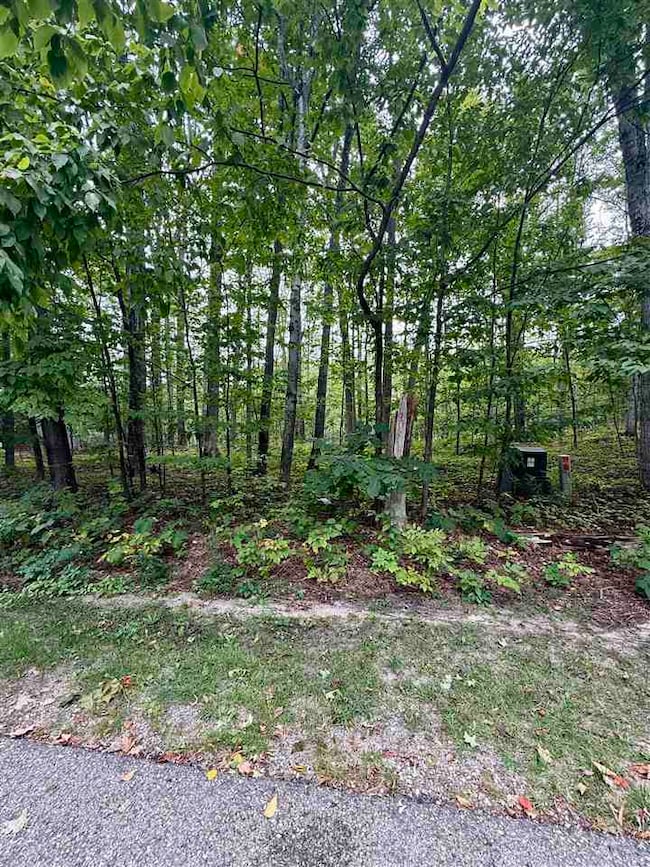 TBD Meadow Wood Dr, Pleasantview Township, MI 49740 - photo 2