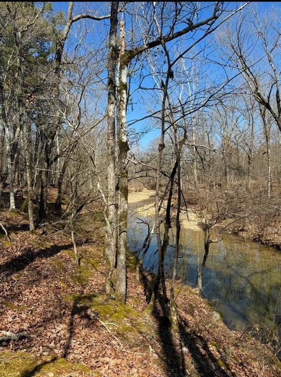 155 Charmed Ridge Ln, Hochatown, OK 74728 - photo 7