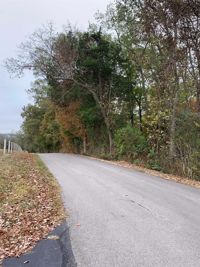 1499 Hifner Rd, Versailles, KY 40383 - photo 3