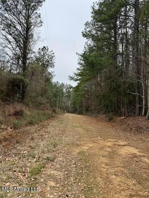 0 Maypop Ln unit 4104657, Meadville, MS 39653 - photo 2