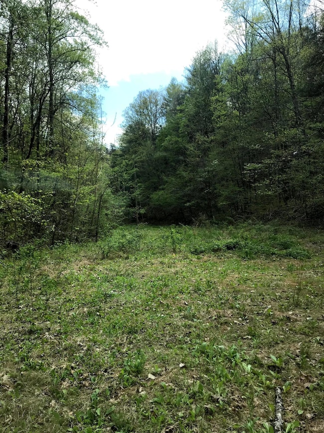 0 Cane Creek Mtn Rd unit 1525007, Tellico Plains, TN 37385 - photo 4