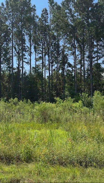 2141 Road 660, Dayton, TX 77535 - photo 6