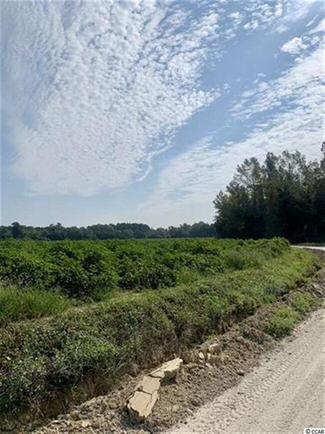 TBD Jamie Rd unit Lot F, Aynor, SC 29511 - photo 4