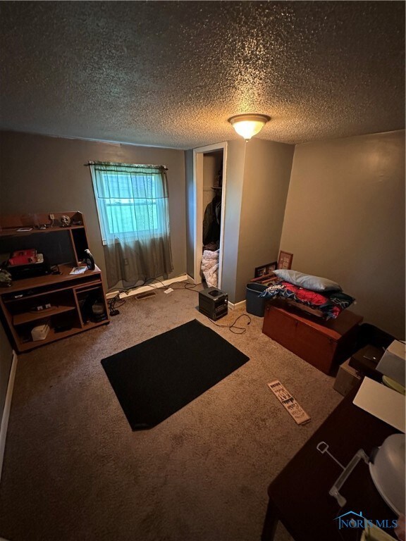 1116 W College Ave, Woodville, OH 43469 - photo 6