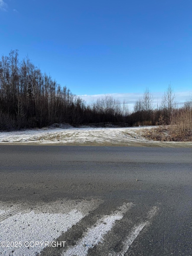 4284 S Burma Rd, Wasilla, AK 99654 - photo 2