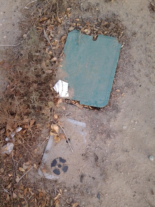 4181 Stetson Ave, Rosamond, CA 93560 - photo 5