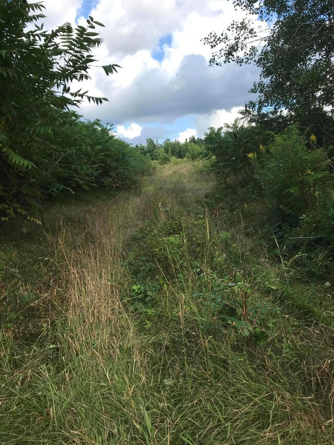 M1978 L92H State Route 9, Crawford, ME 04694 - photo 3