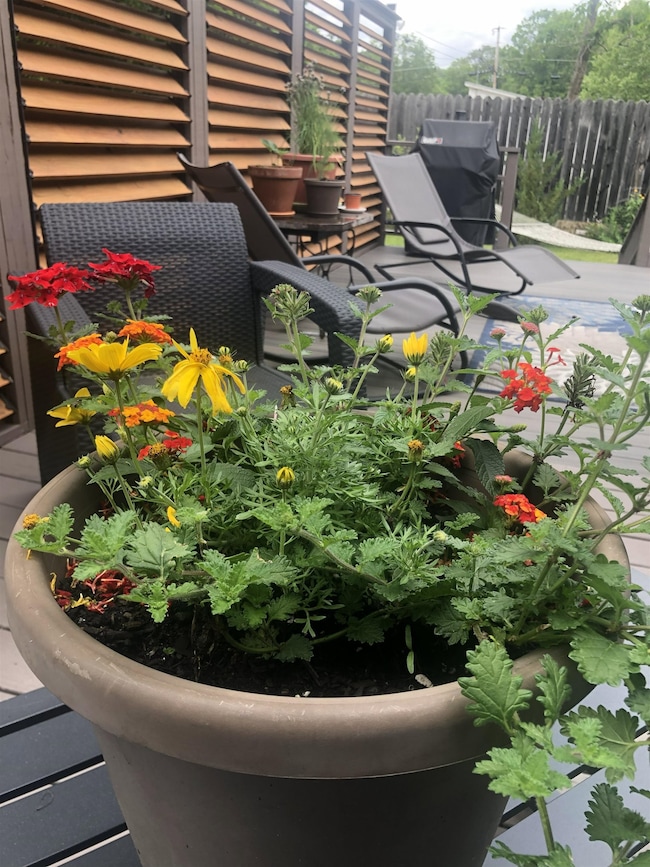 269 Branch Rd, Roxbury, NH 03431 - photo 7