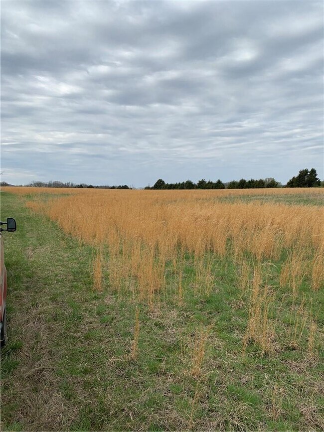 12499 Sugar Mountain Rd, West Fork, AR 72774 - photo 4