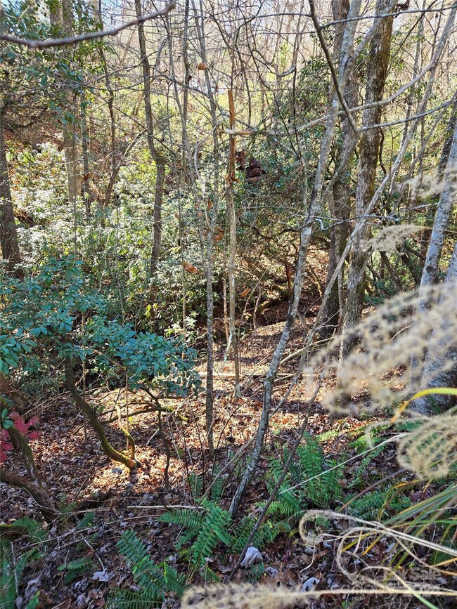 9999 Old Chestnut Ln unit 1, Hendersonville, NC 28739 - photo 4