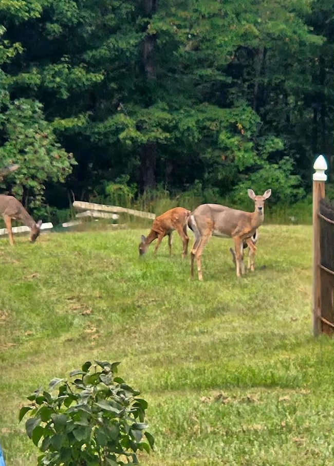 att.2PYF4zqg1u_-_ek6NGn26275JDOnKGMRvQKe