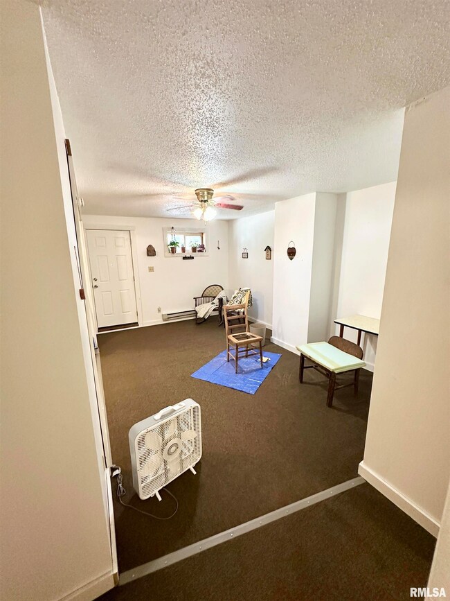 311 & 313 Main St, Meredosia, IL 62665 - photo 5