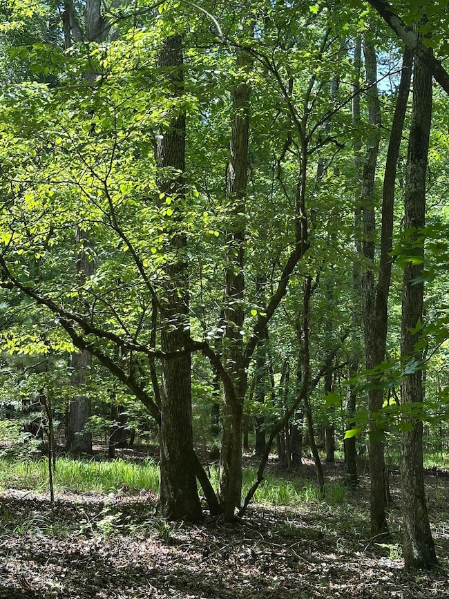 Lot 11 S Pointe Ct, Tignall, GA 30668 - photo 6