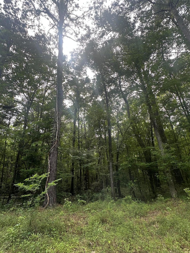 00 Weir St, Summerville, SC 29483 - photo 2