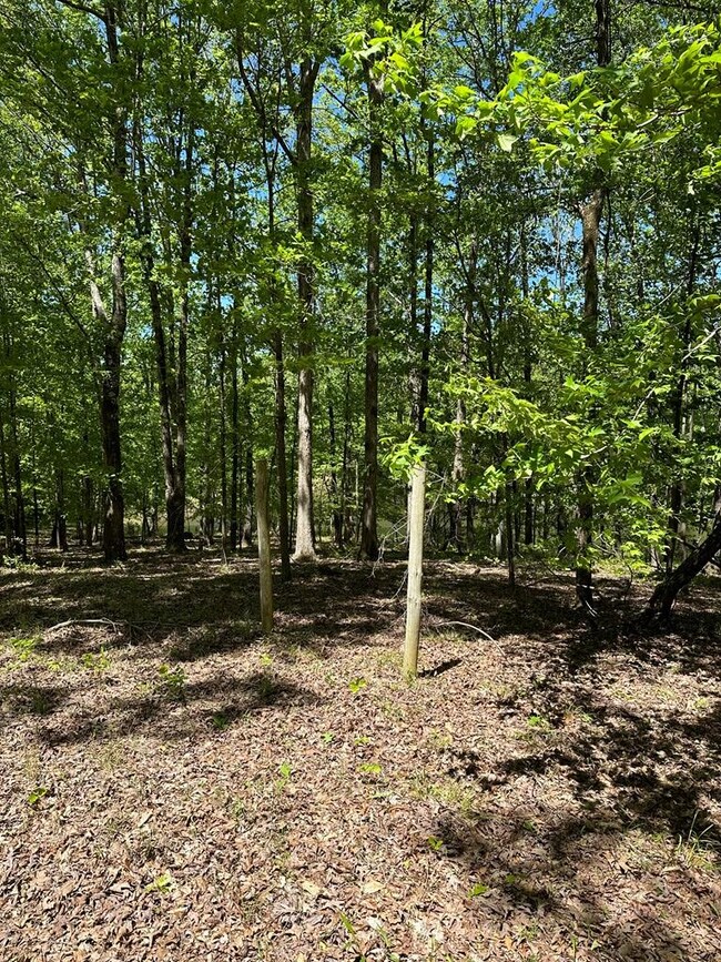 38 Cr 415, Oxford, MS 38655 - photo 4