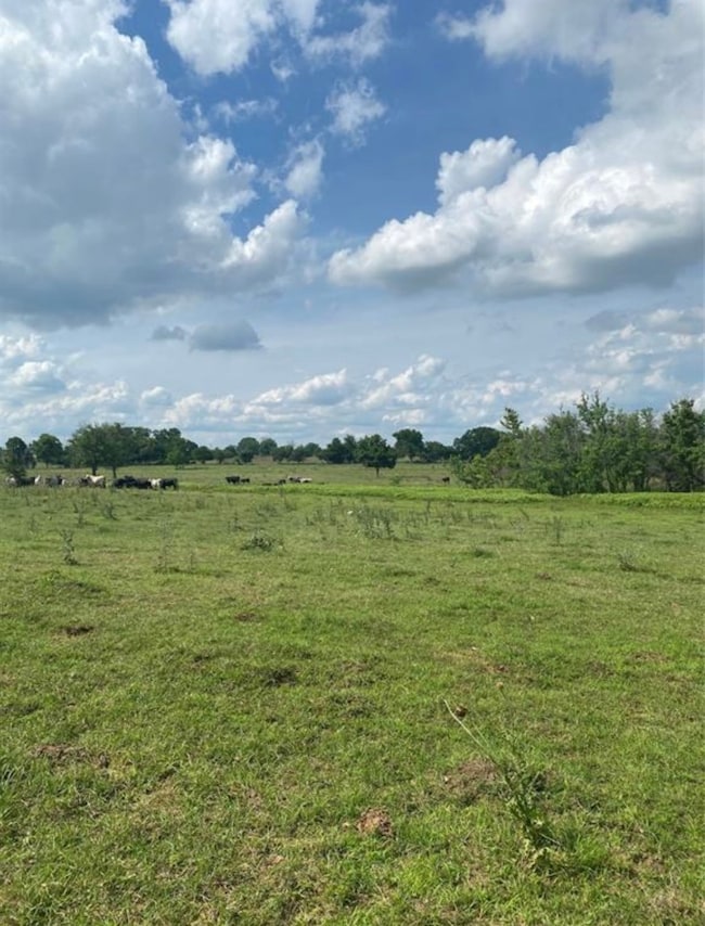 00 Terrace Rd, Chappell Hill, TX 77426 - photo 6