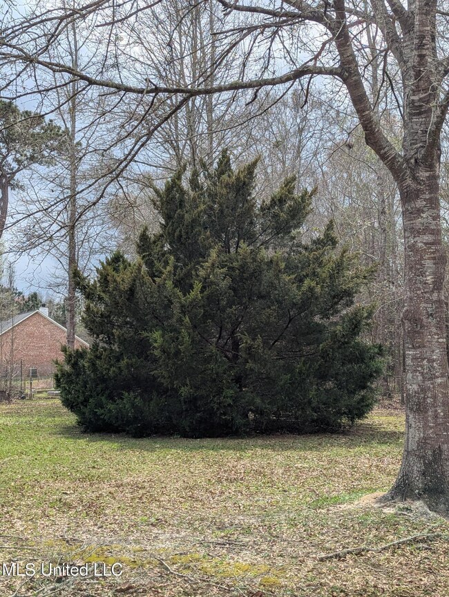 PXL_20250314_183500825