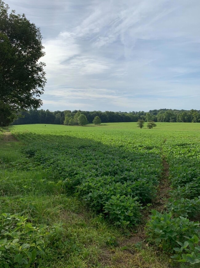 0 Luther Rogers Rd unit 1654849, Tiffin Township, OH 45693 - photo 3