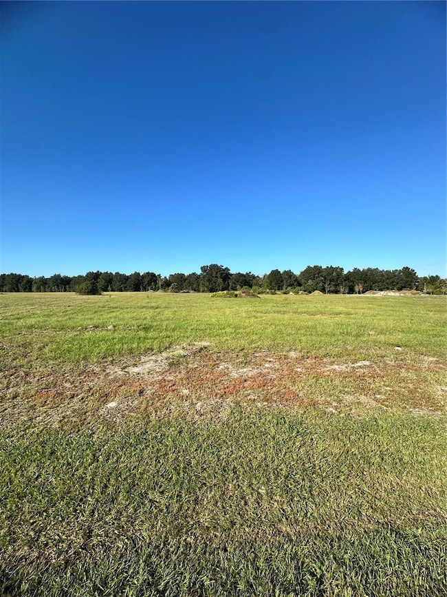 38793 Ranch Gate Blvd, Umatilla, FL 32784 - photo 3