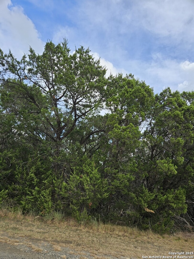 27044 Okent Dr, San Antonio, TX 78260 - photo 3