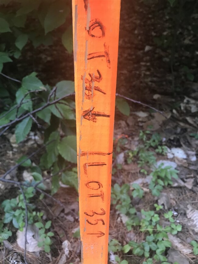 00 Long Point Rd unit 36, Moultonborough, NH 03254 - photo 3