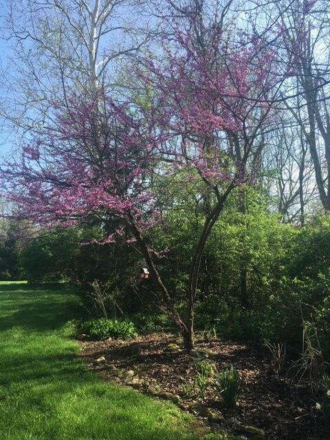 Spring is here!