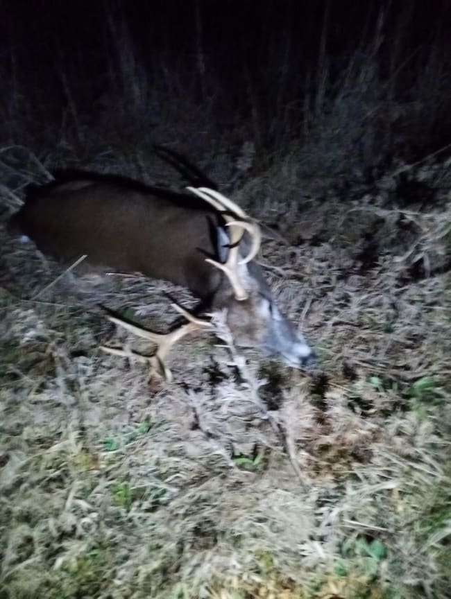 0 Alabama 41, Brewton, AL 36426 - photo 6