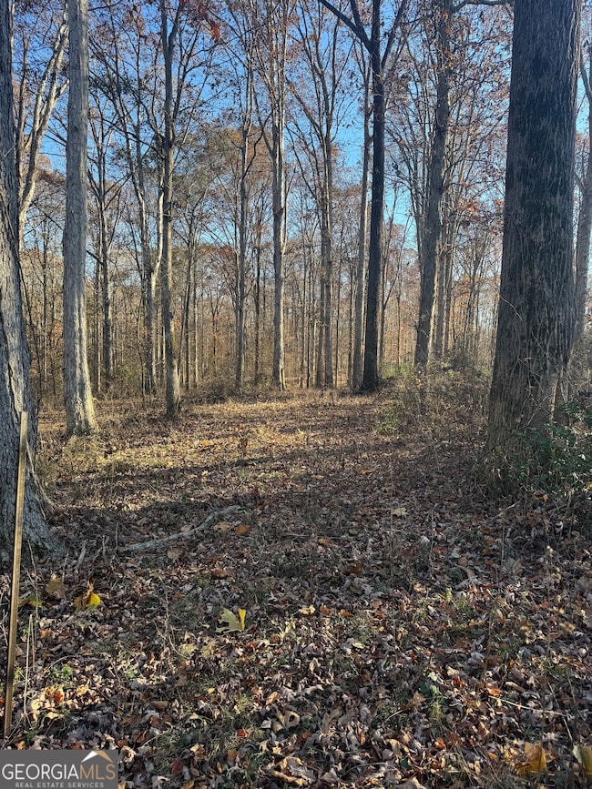 2661 Oakley Trail, Statham, GA 30666 - photo 4