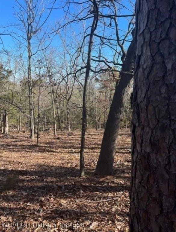 TBD Rural Latimer, Wilburton, OK 74578 - photo 5