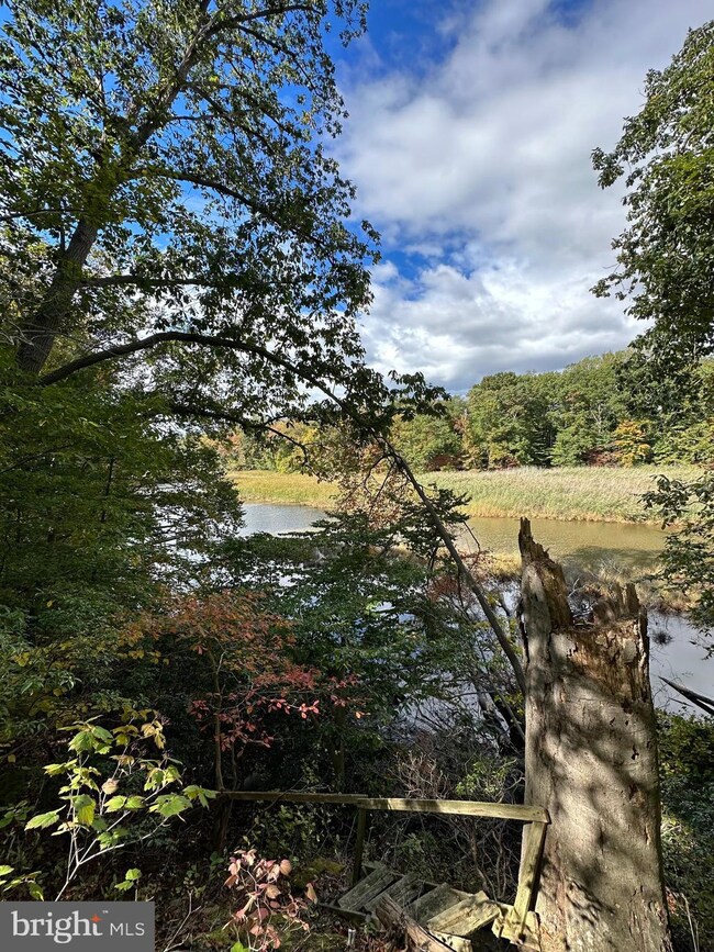 23628 Canvasback Rd, Chestertown, MD 21620 - photo 5