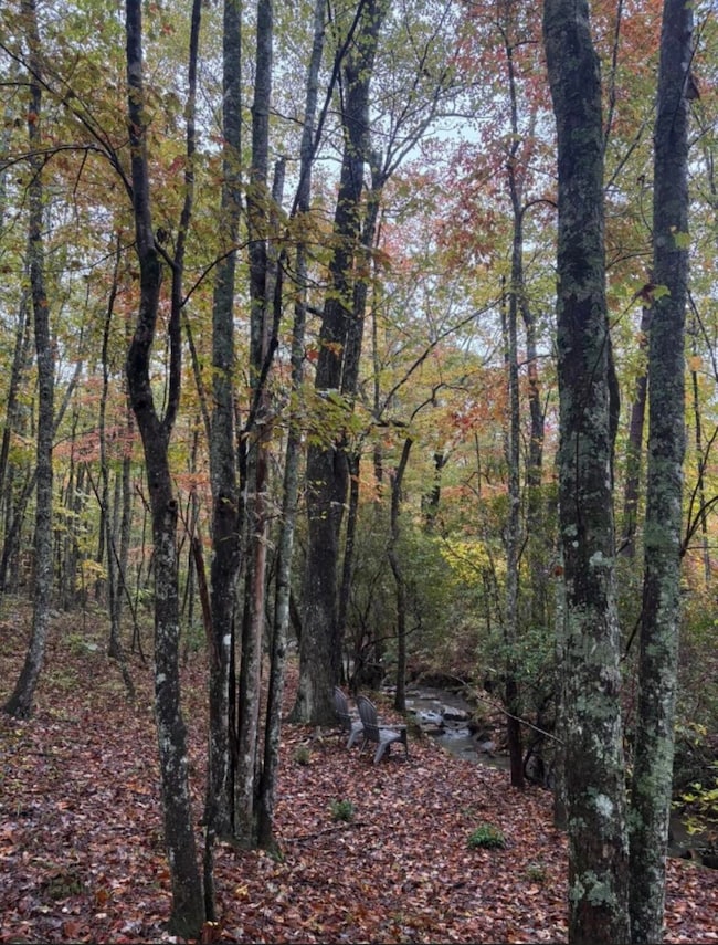 2795 Raulston Falls Rd, Jasper, TN 37347 - photo 3