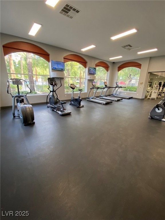 Exercise room with healthy amount of natural light