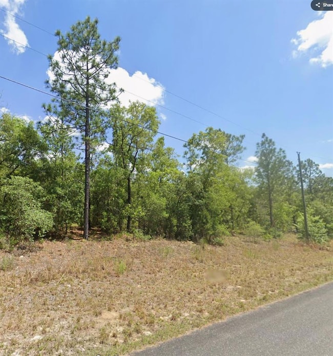 8871 N Lisa Terrace, Citrus Springs, FL 34433 - photo 2