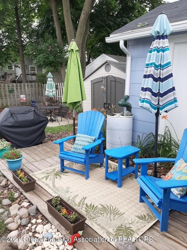 Back Yard 2