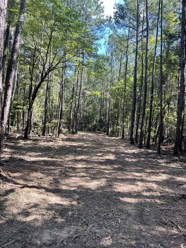 167 County Road 3141, Jacksonville, TX 75766 - photo 6