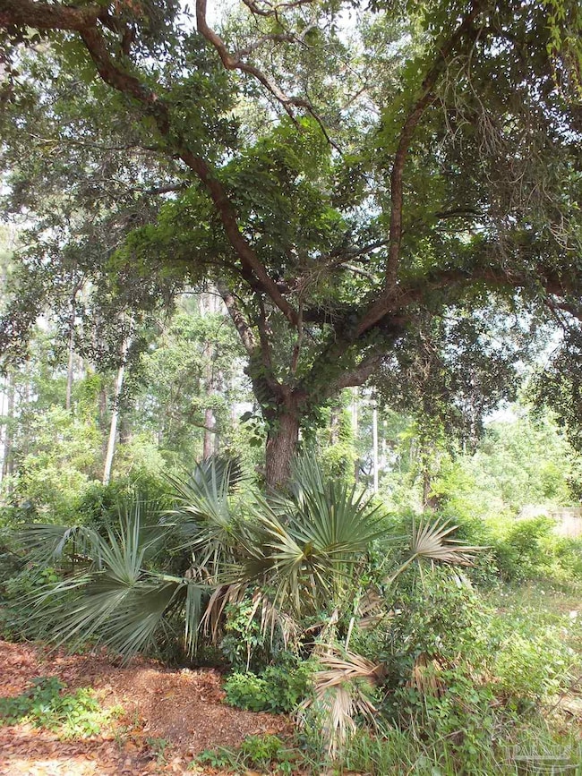 000 Eventide Rd, Milton, FL 32583 - photo 4