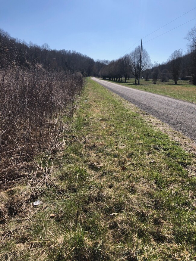 327 Field Dr, Linden, TN 37096 - photo 7