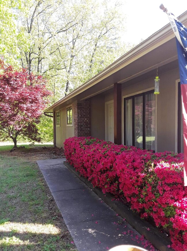 Welcoming front walk
