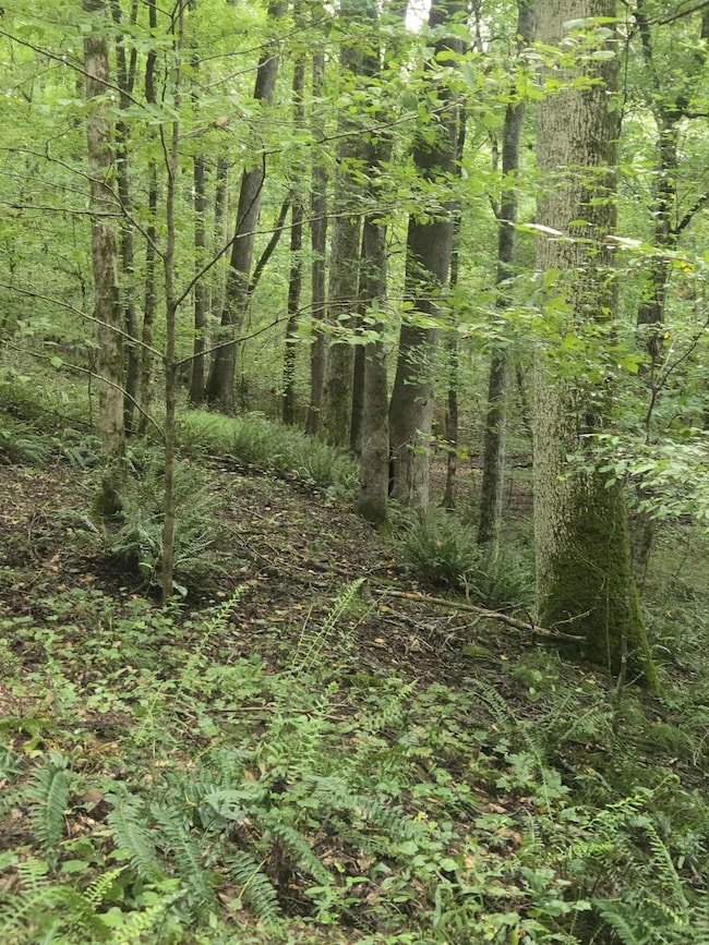 4866 Hwy 42 S, Forsyth, GA 31029 - photo 3